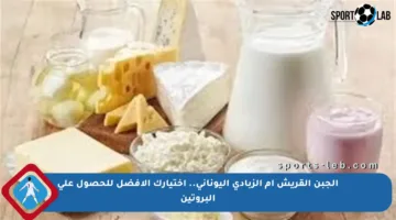 الجبن القريش أم الزبادي اليوناني.. اختيارك الأفضل للحصول على البروتين